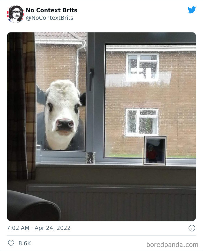 This Account Collects And Shares British Pictures Without Any Context (50 New Pics)