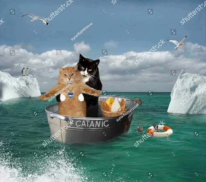 35 Of The Weirdest Stock Images Ever Posted On The "Every Day, I Upload One Weird Stock Photo" Page