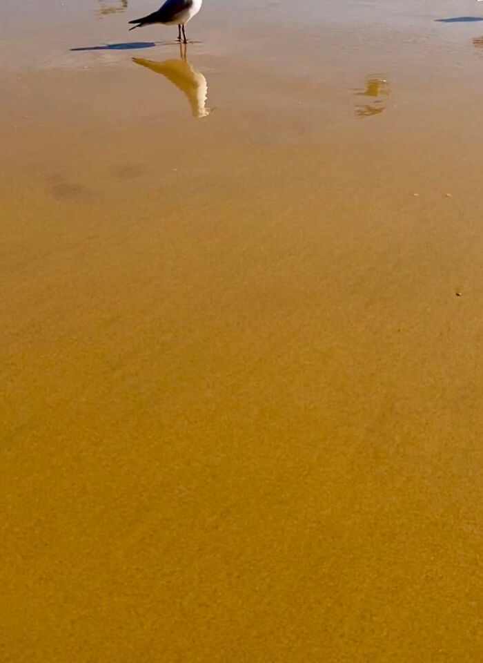 Lo importante que hay que recordar en esta foto es que soy profesor de fotografía