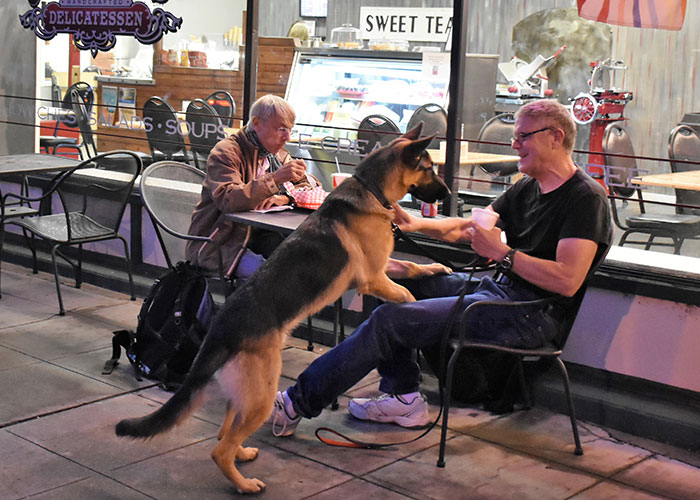 3,8 Millones de personas adoran este video de un hombre que tiene la cena más dulce con su perro