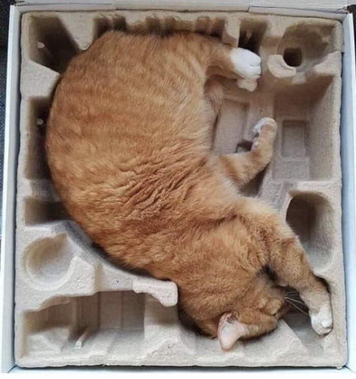 Caja de la perfección