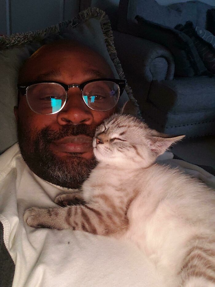 ¿Espacio personal? Nop. Soy una almohada para gatos