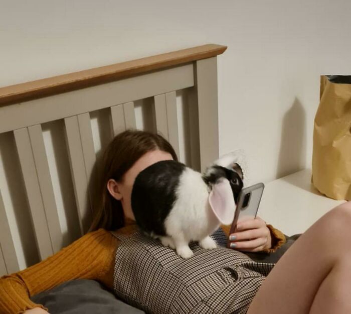 Di mi espacio personal a cambio de un conejo
