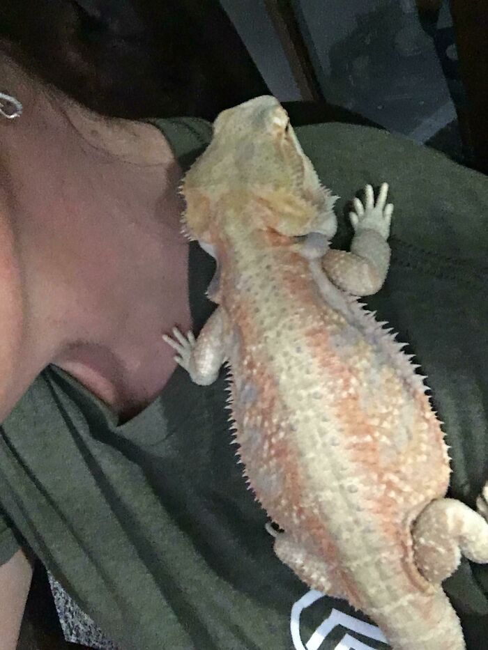 Mi ahora esposa y yo estamos de luna de miel durante una semana, y mi suegra, que tenía miedo de nuestra dragona, por fin se anima ahora que la está cuidando durante una semana. Géminis está siendo una buena chica
