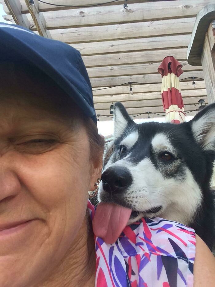 Le pregunté a mi suegra si había visto a mi perro mientras yo estaba en el trabajo, y recibí esta foto como respuesta