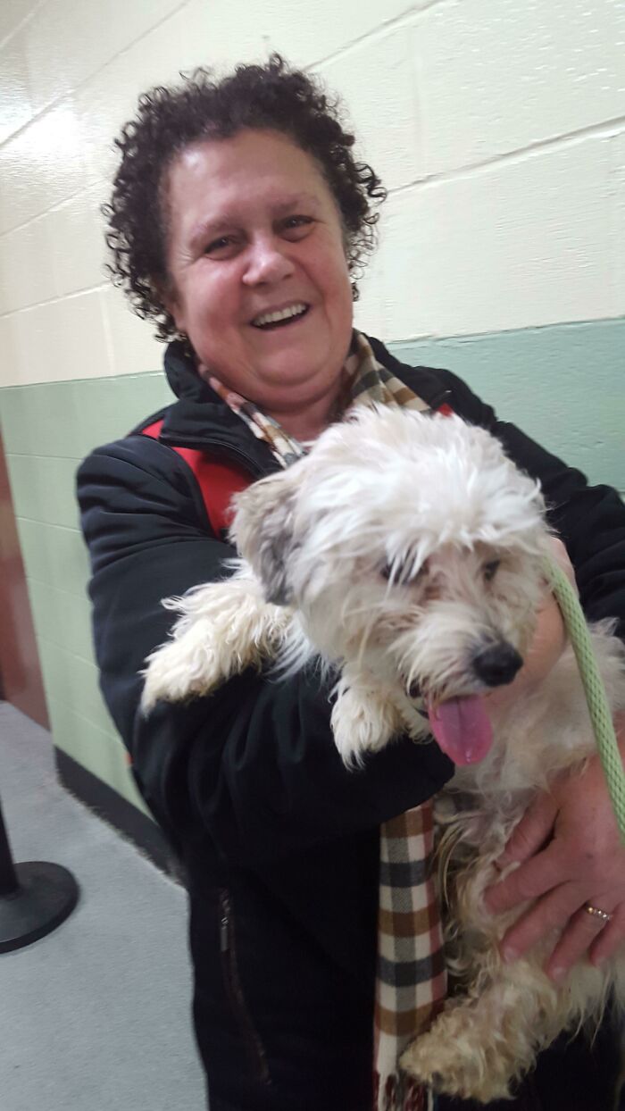 La cara de un perro que ha pasado su última noche en el refugio. Y la cara de mi suegra que ha pasado su último día sin un cachorro al que abrazar. No sé quién es más feliz