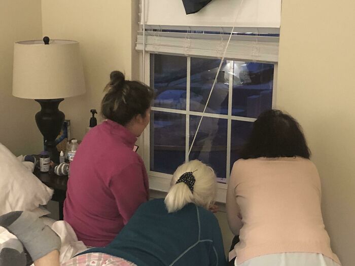 Mi suegra y su hermana están de visita desde Brasil y nunca han visto la nieve antes y su emoción es adorable