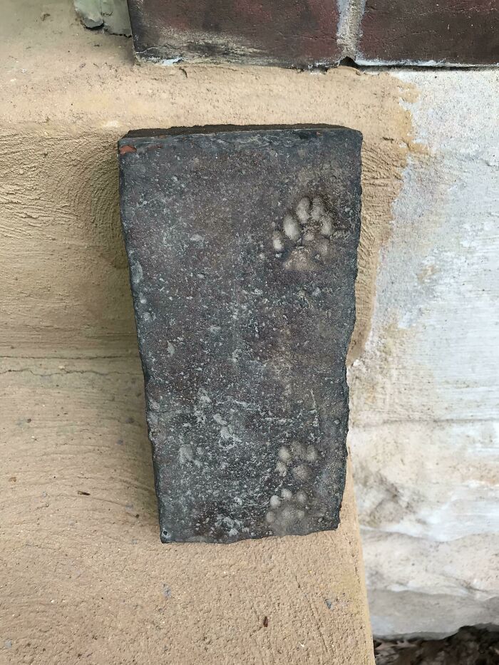 Estaba revisando algunos ladrillos viejos que sobraron de nuestra casa de 1890, y me encontré con esto