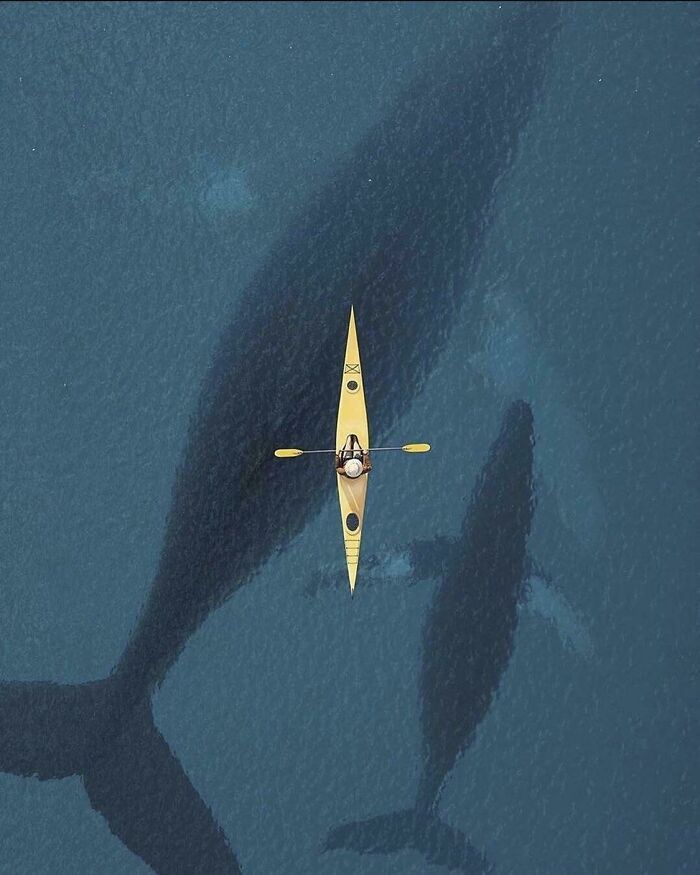 ¡En kayak con los Gigantes!