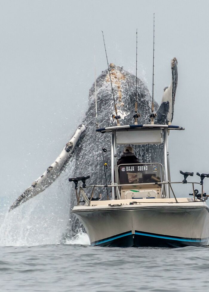 Tomada en la costa del sur de California hace 2 semanas