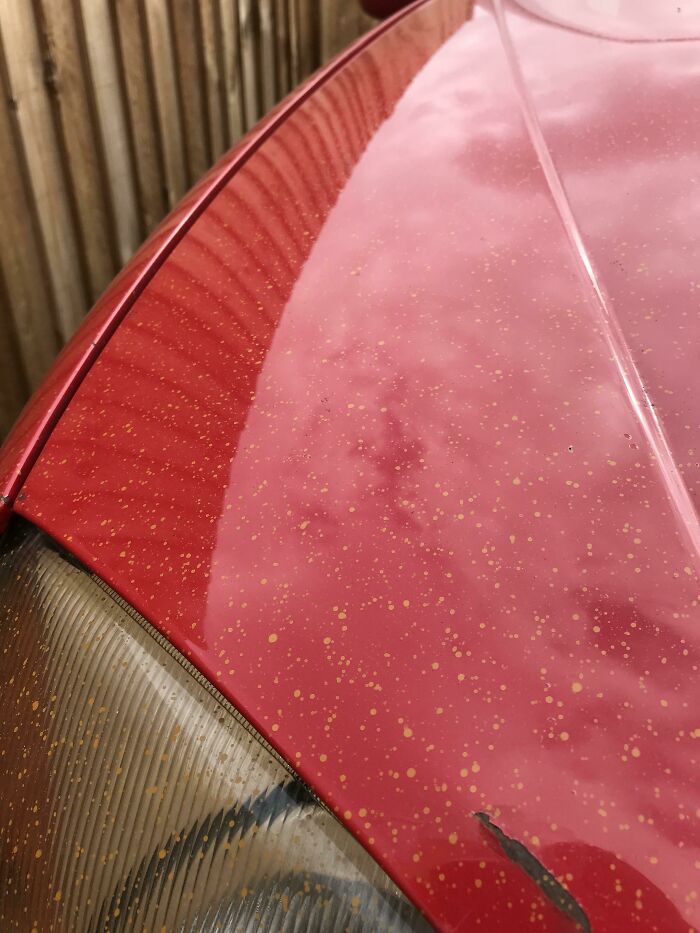 Los nuevos vecinos pintaron su valla ayer, ahora nuestro coche se ve así. Por todas partes