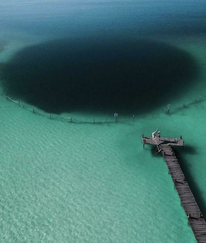 Un abismo aullador