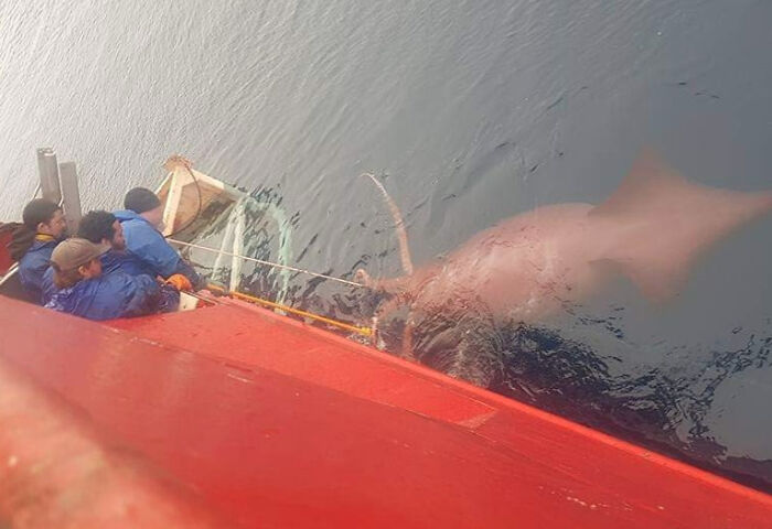 Tomada desde un barco de pesca en la Antártida