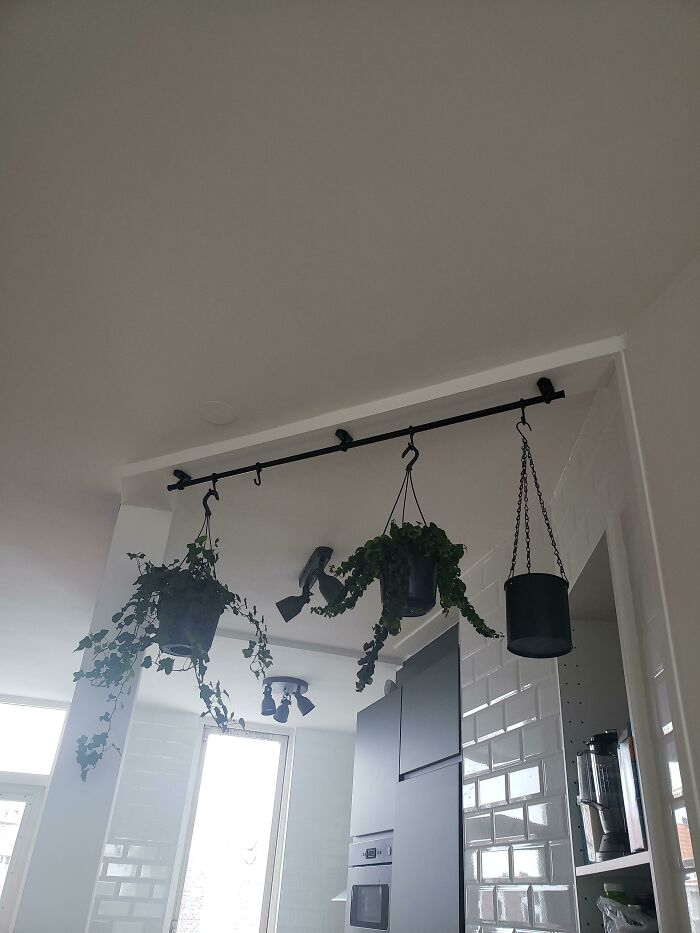 Barra Fintorp para colgar plantas del techo
