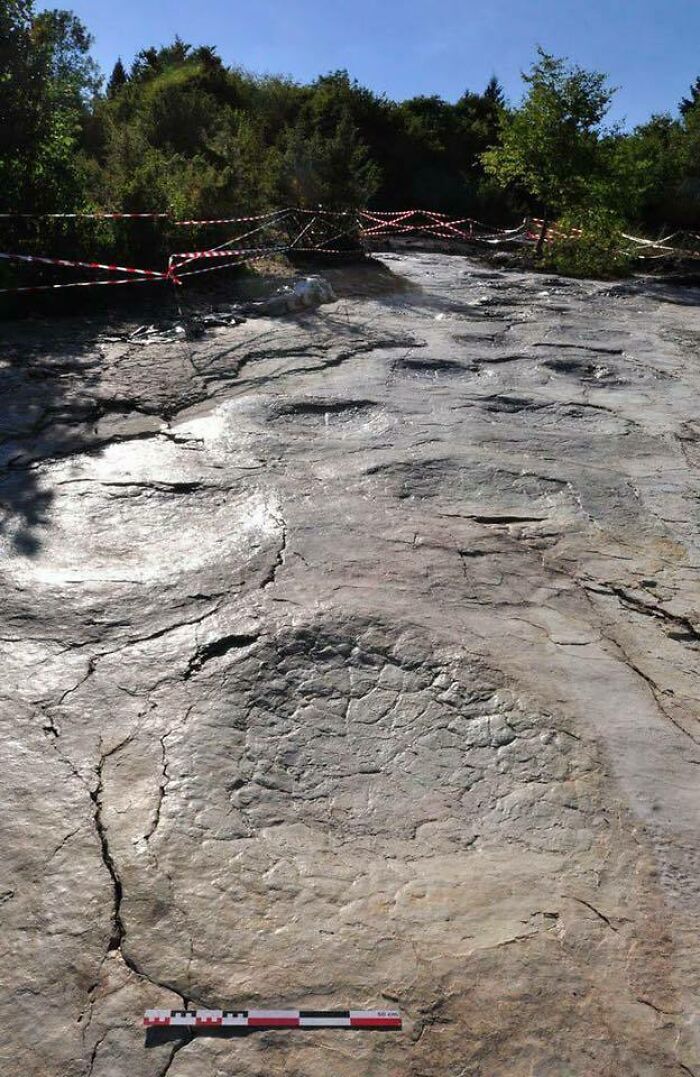 Huellas de dinosaurio de 150 millones de años en Francia