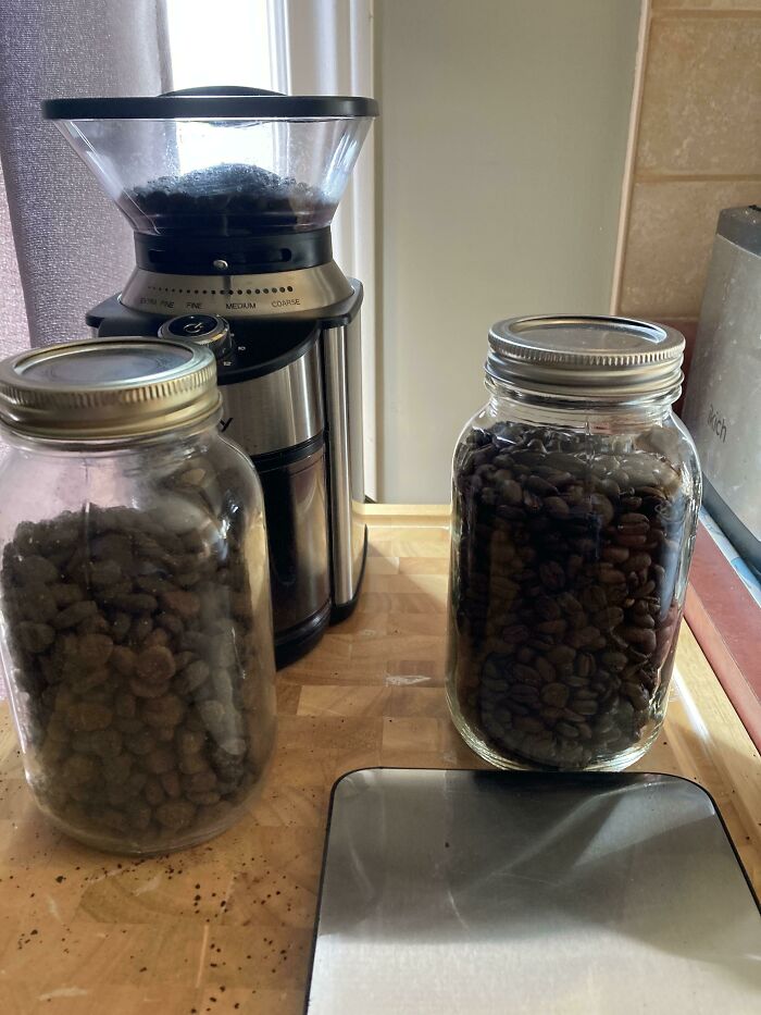 A mi mujer le gusta guardar la comida del perro junto a los granos de café. Adivina lo que hice a las 5:30 de la mañana