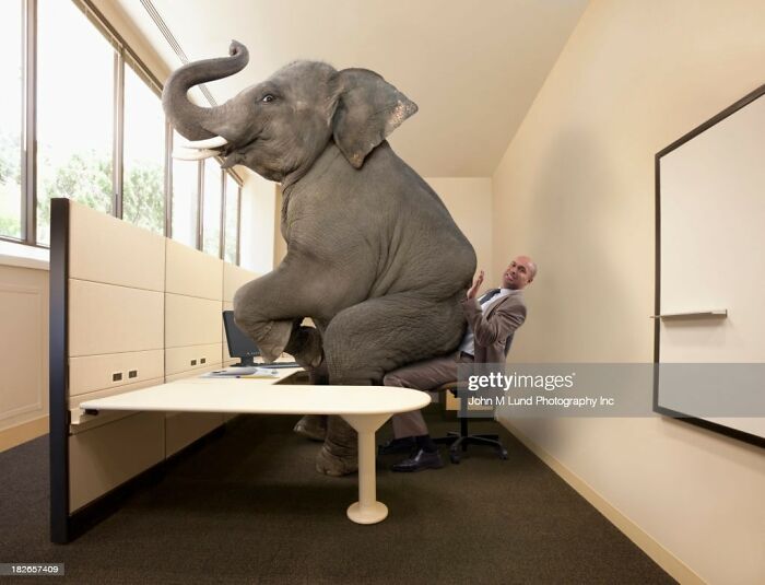 35 Of The Weirdest Stock Images Ever Posted On The "Every Day, I Upload One Weird Stock Photo" Page