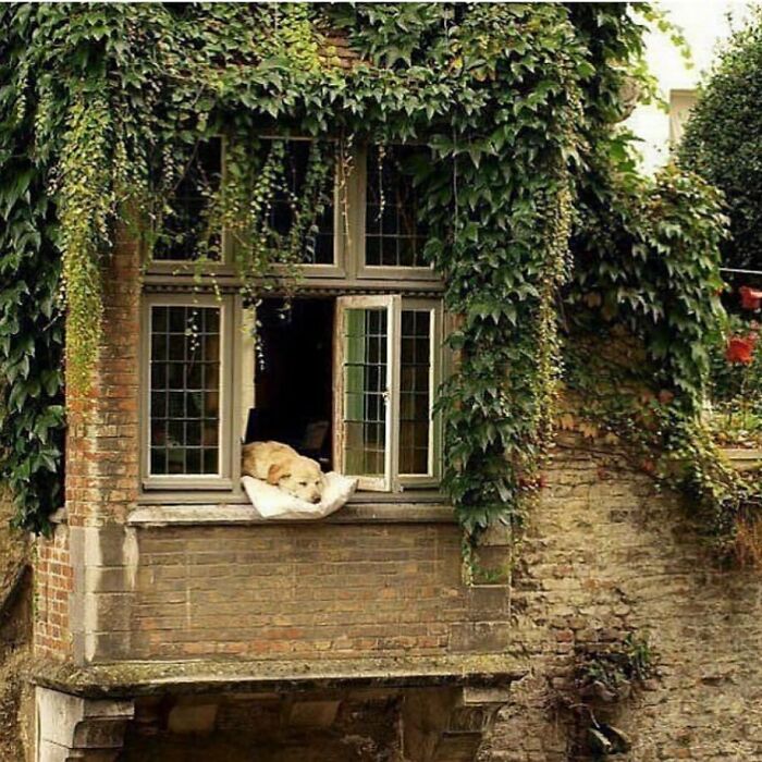 40 Homes That Feel Too Dreamy To Be Real, As Shared On The ‘Somewhere I Would Like To Live’ Instagram Account