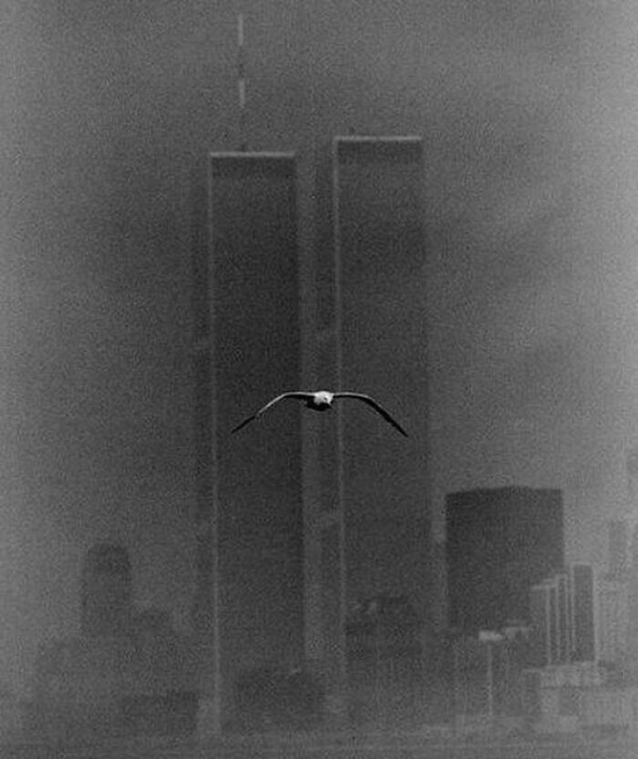 Hermosa foto de las Torres Gemelas en 1979