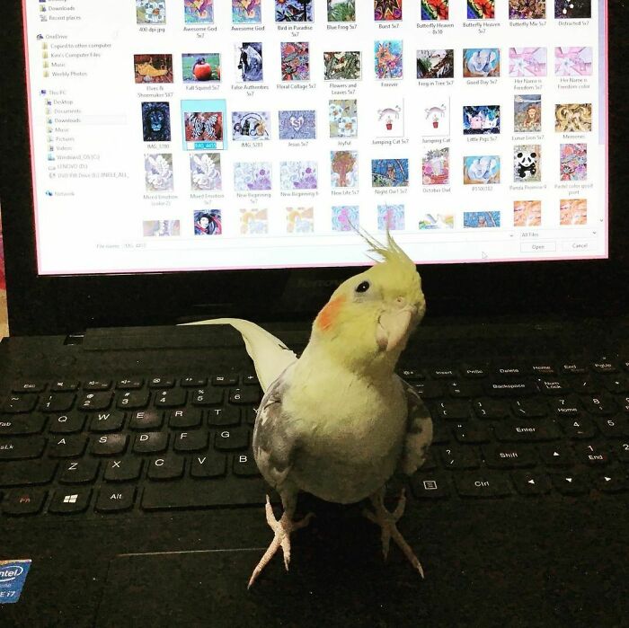Tratando de hacer algo de trabajo y aparece este pequeño