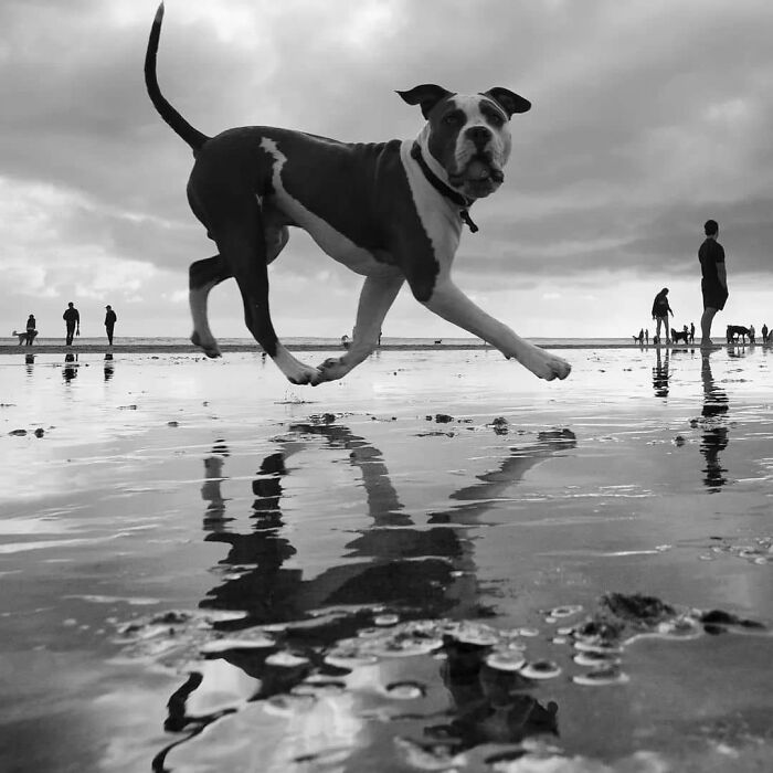 Here Are The 30 Most Jaw-Dropping Animal Photos, As Shared By "The Decisive Moments Magazine"