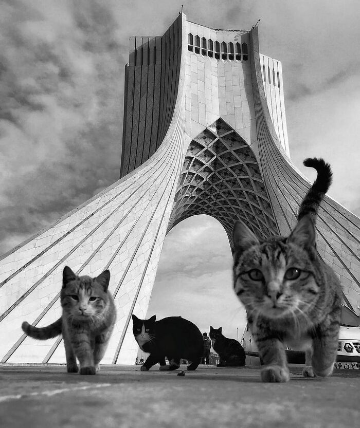 Here Are The 30 Most Jaw-Dropping Animal Photos, As Shared By "The Decisive Moments Magazine"