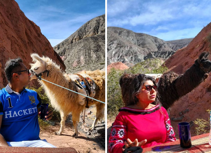 Mi mujer se hace una foto con una llama y yo me hago una foto con ella. Cuando el trasero de la llama se convierte en tu nuevo peinado