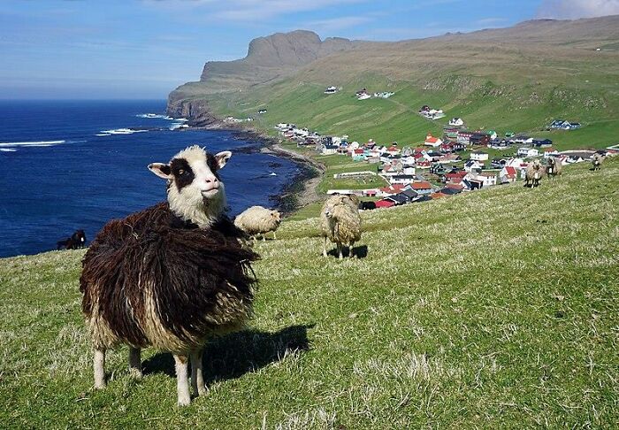 20 Cosas normales en los países de estas personas que son muy raras en otros
