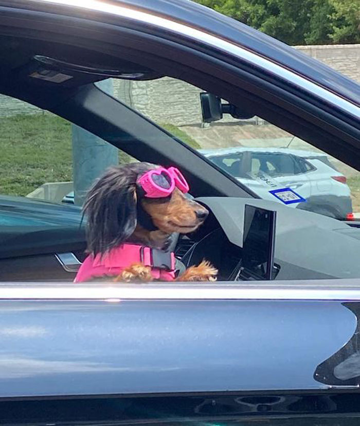 Visto hoy en Austin. ¡Lo peta con su rareza!