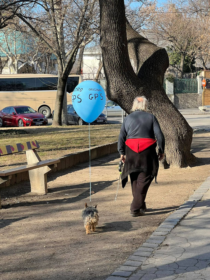 Avistamiento de calidad en Budapest, por si el perrito se escapa