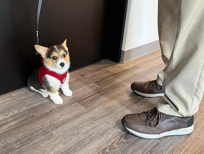 Una cosita diminuta... Era del tamaño de los zapatos de su padre