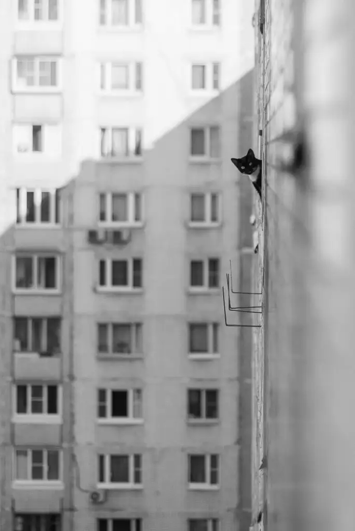 Finalista: Vitaly Zimarin, Rusia