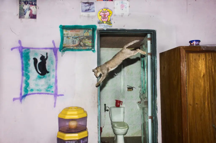 Finalista: Md Enamul Kabir, Bangladesh