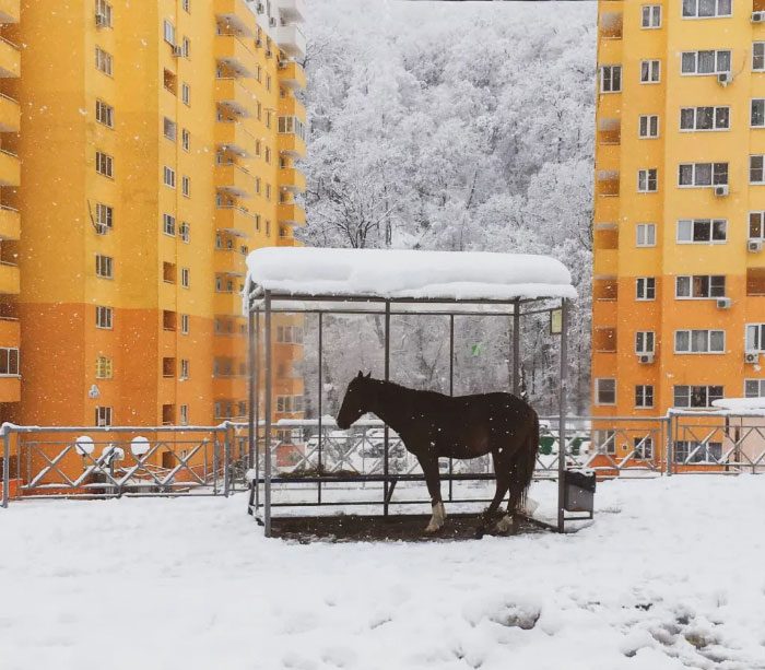 Quinto lugar: Irina Egorova, Rusia