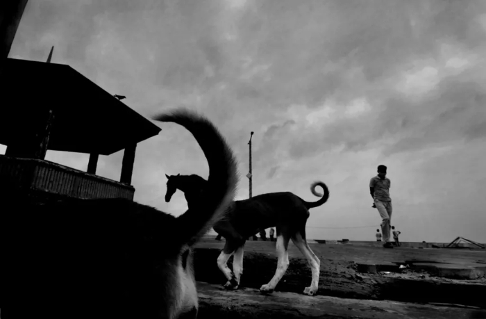 Finalista: Piyal Adhikary, India