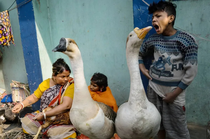 Finalista: Samrat Sur, India