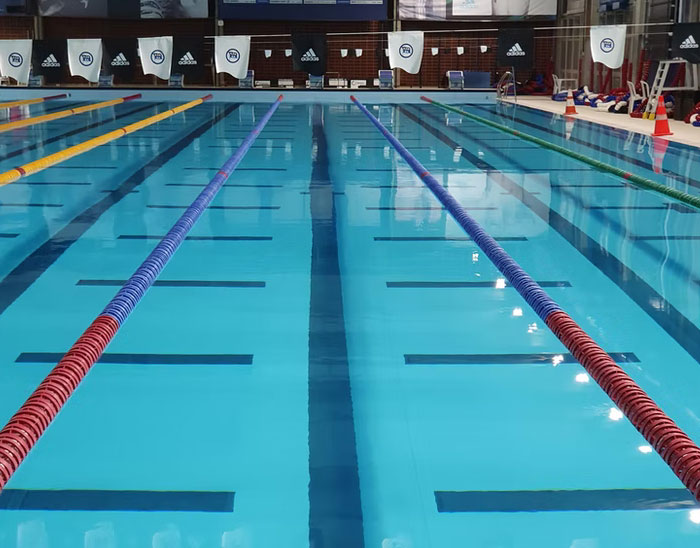 Piscina olímpica limpia y ordenada con carriles delimitados, representando datos informativos sobre natación y deporte.