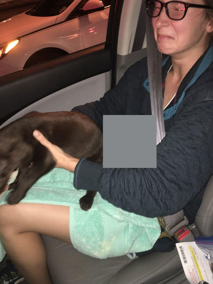 Veo a tu cachorro vomitando en el camino a casa, yo subo a nuestro cachorro teniendo diarrea explosiva sobre mi esposa