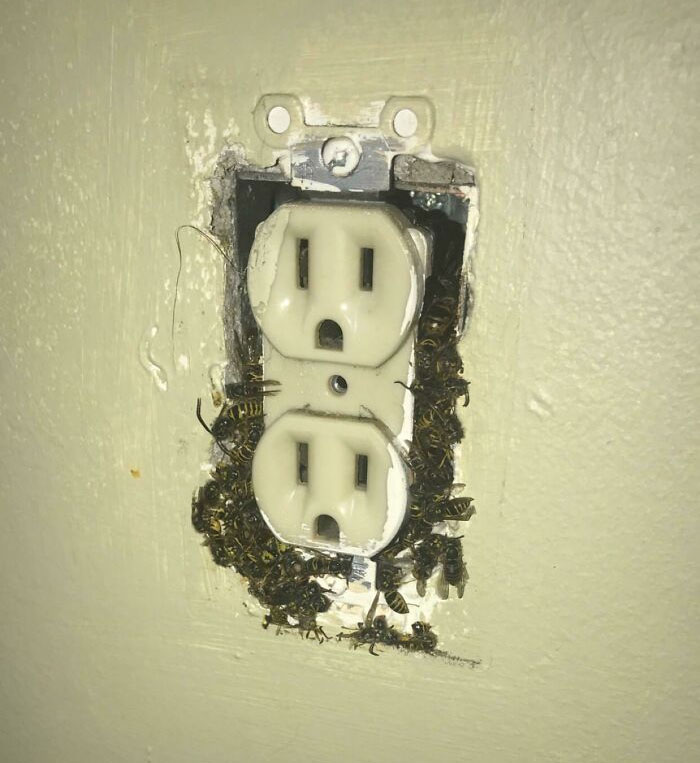 Iba a pintar hoy y me encontré con esta sorpresa