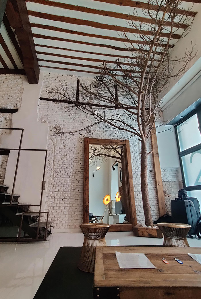 Hay un árbol en mi airbnb