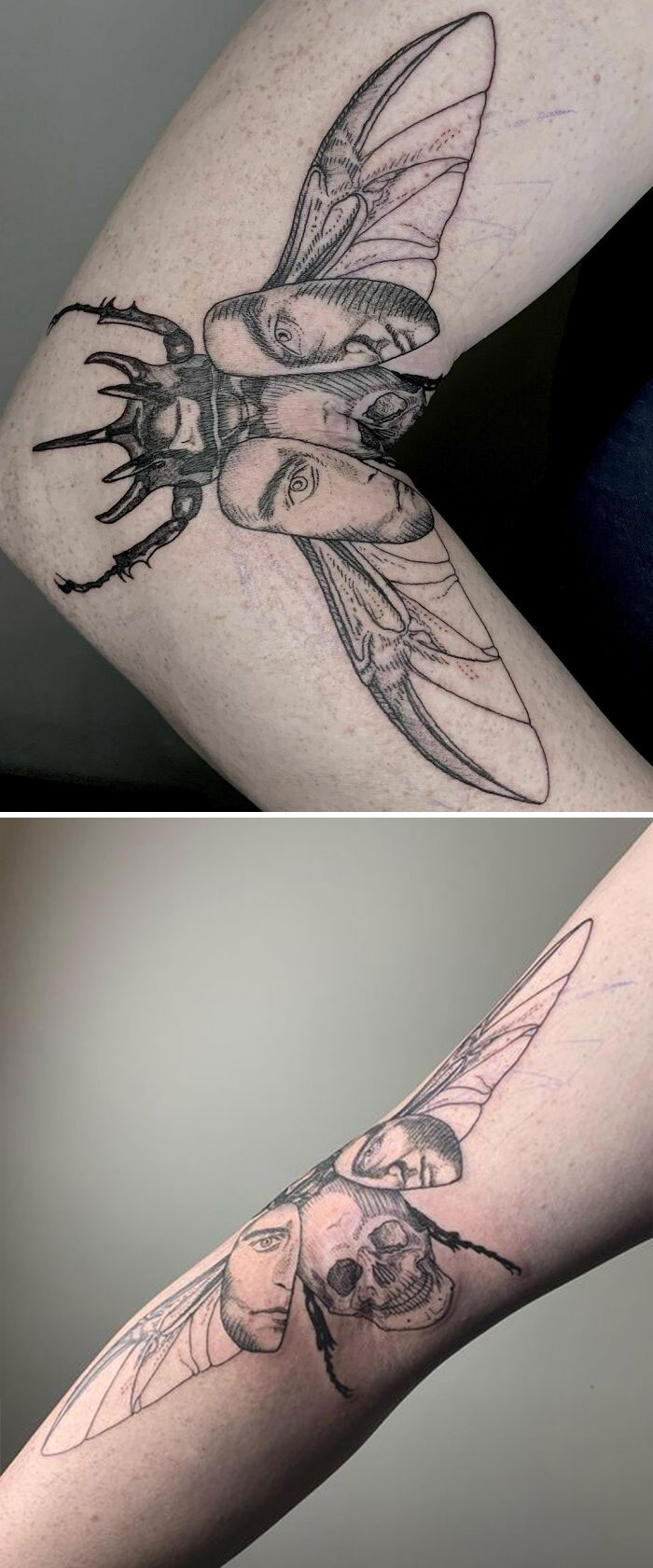 Metamorfosis