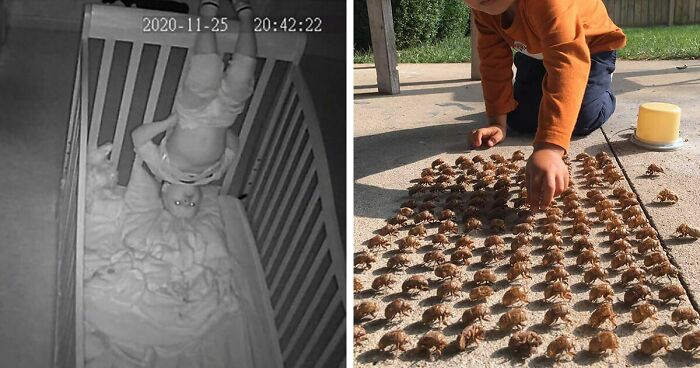 25 Niños haciendo cosas espeluznantes, tan divertidas como preocupantes