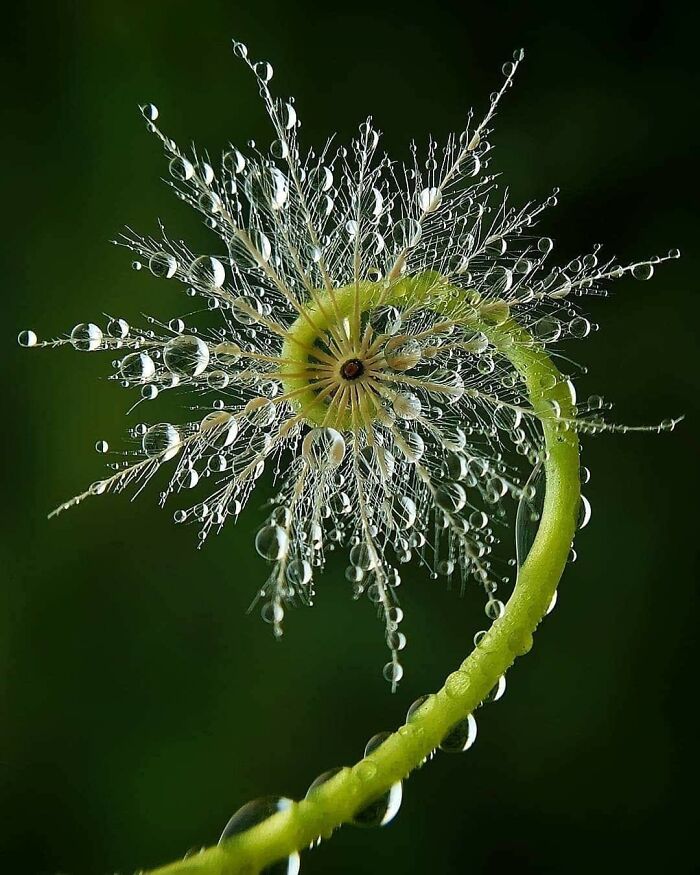 Increíble obra de arte de la naturaleza