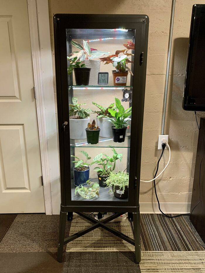¡Usé una vitrina Fabrikor para hacer un invernadero!