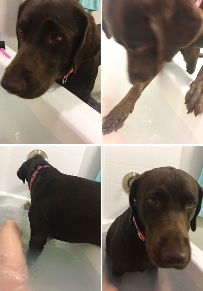 Estaba tratando de disfrutar de un buen baño, pero…