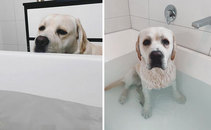 Una historia corta titulada: ¿Puedo bañarme contigo, por favor? Spoiler: Pude entrar