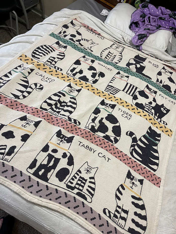 Bueno chicos, esto es divertido. Cuando era niño tenía esta manta con gatos exacta y no la había visto en años. ¡Me encantaba!