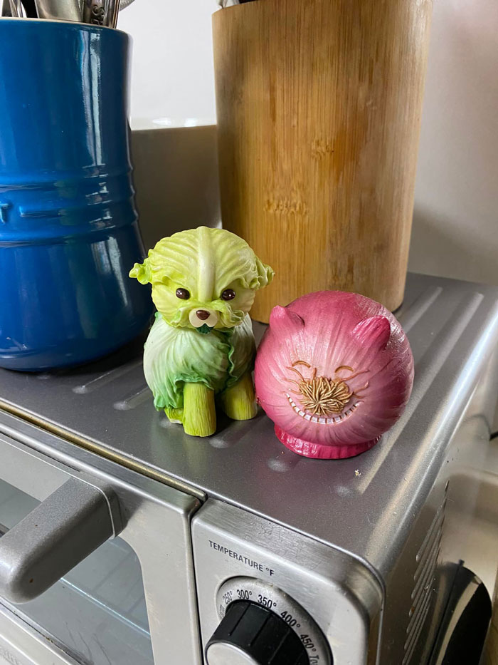 Encontré a estas pequeñas bellezas en una tienda de segunda mano de una base militar de Okinawa, Japón