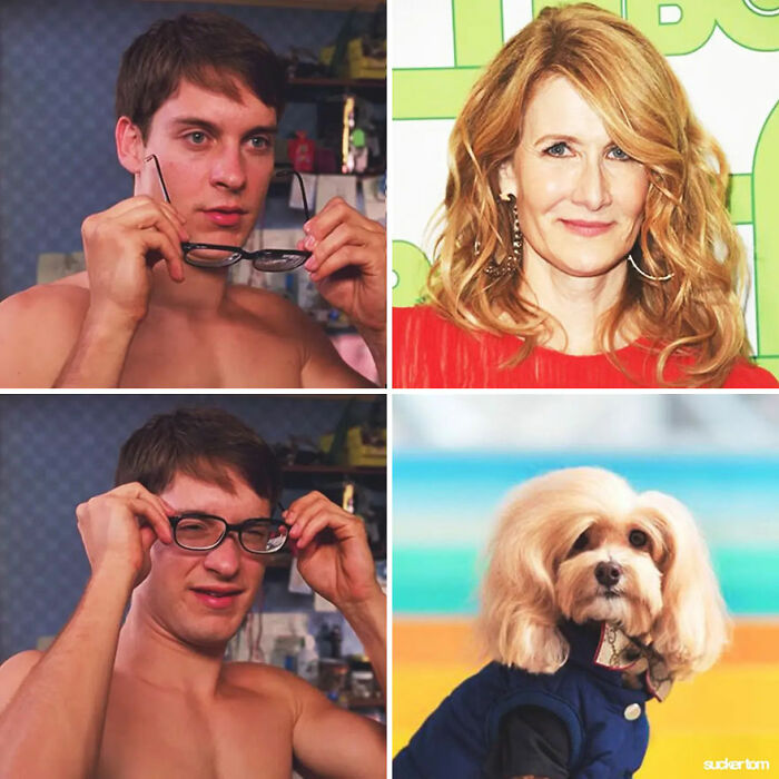 Laura Dern