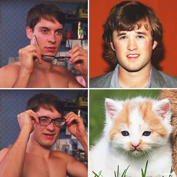 Haley Joel Osment